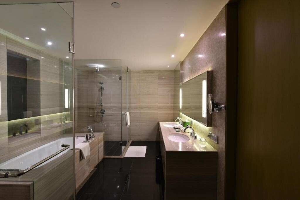 Фотография Holiday Inn New Delhi International Airport 4*