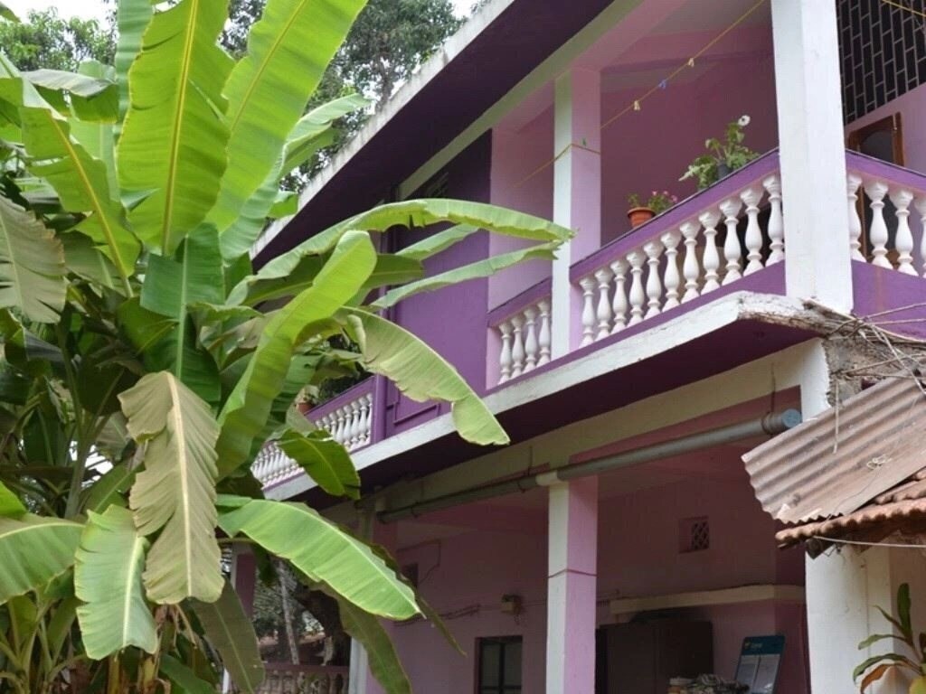 Отель Orchid Guest House 2*