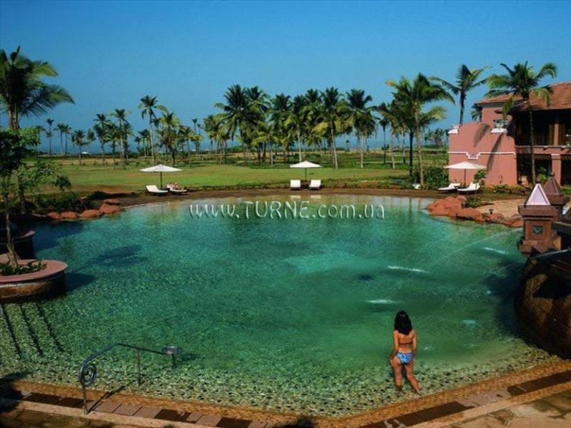 Картинка Mai Rosa 1*