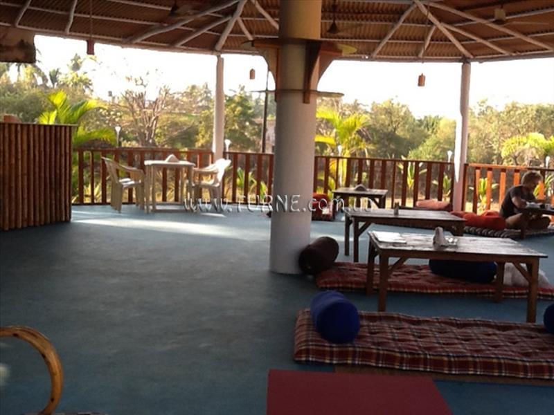 Фото Jamboree Creek Resort 3*