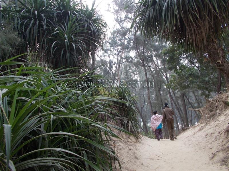 Зображення Morjim Laxmi Resort 2*