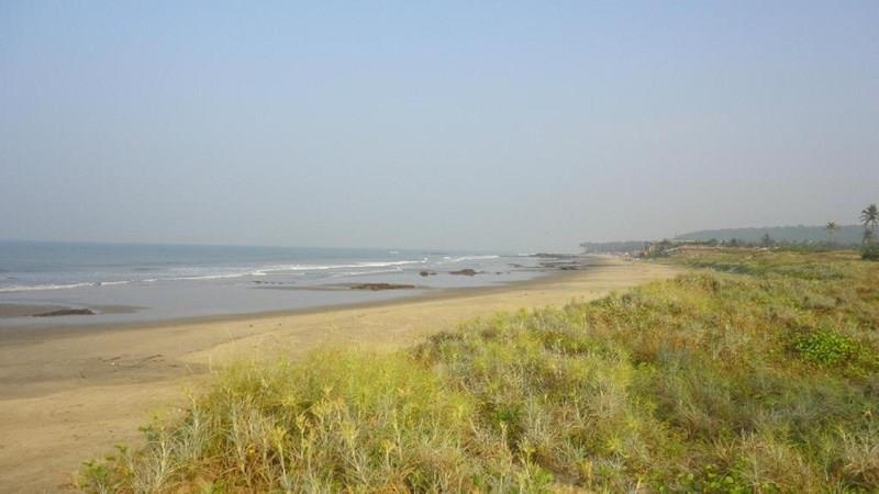 Изображение Morjim Grand Inn (ex. New Morjim Club Resort) 3*