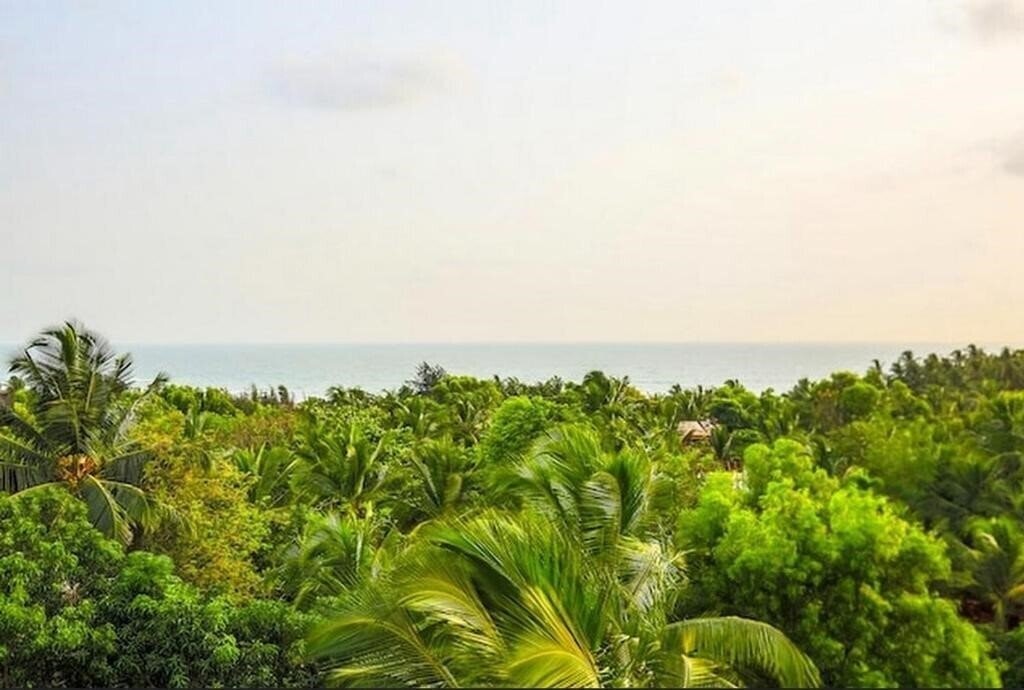 Готель White Feather Guest House 2*