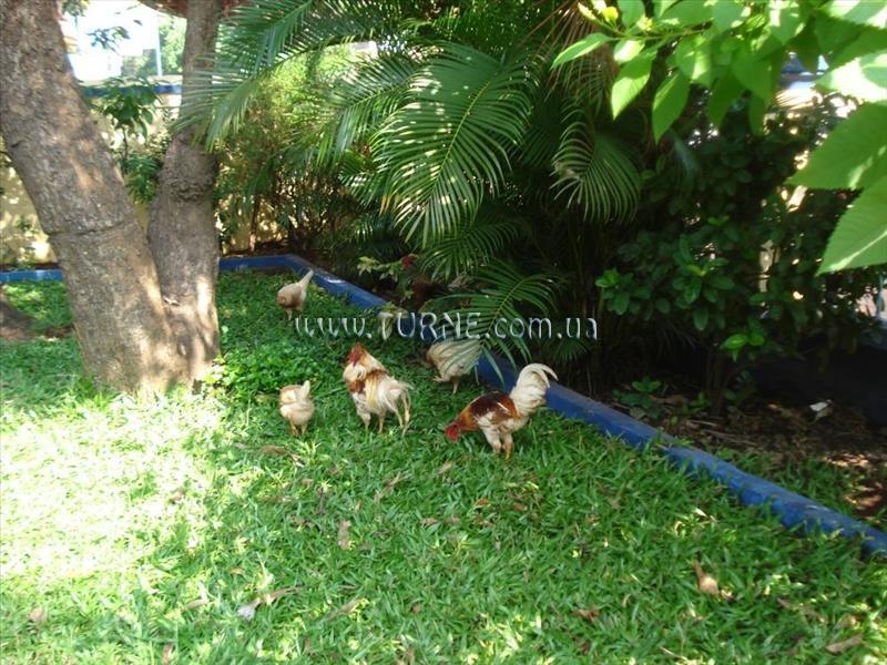 Зображення The Quest Hotel 1*