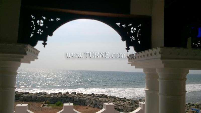 Фотографія Palm Tree Bungalow 4*