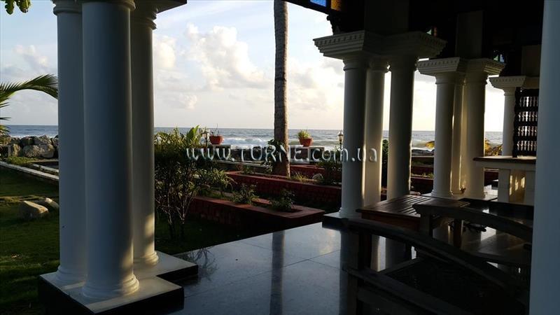 Фото Palm Tree Bungalow 4*