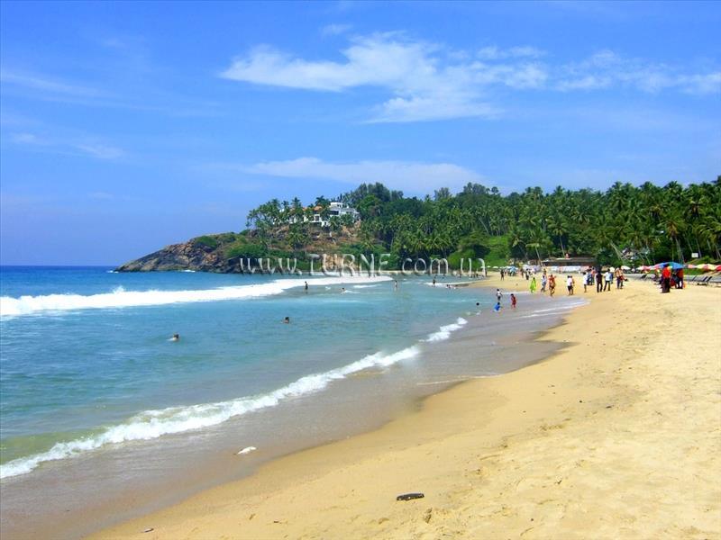 Зображення Seaweed 3*