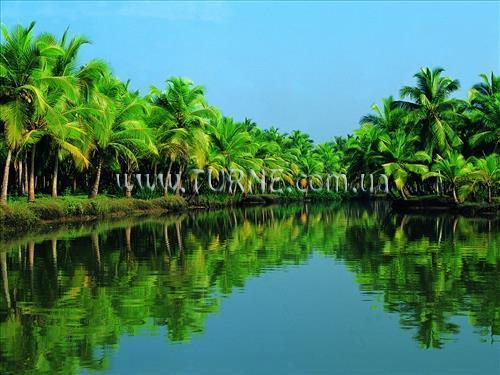Картинка Manaltheeram Ayurveda Beach Village 3*
