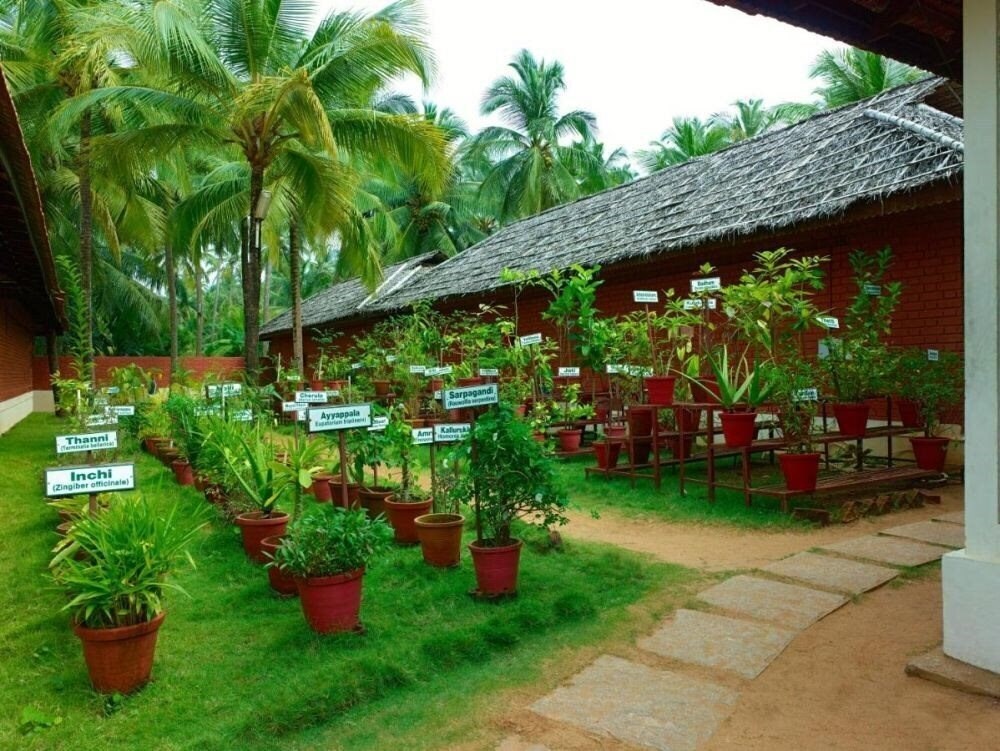 Фотографія The Nattika Beach Resort 4*