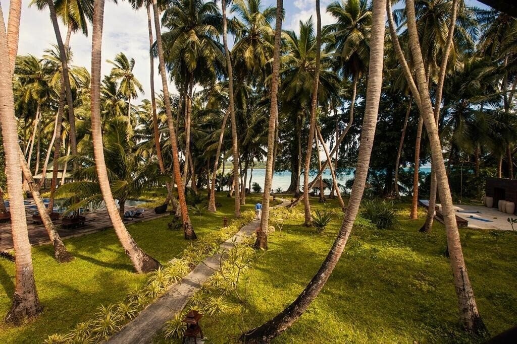 Картинка Sea Shell Havelock 5*