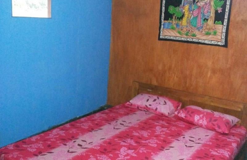 Фотографія Divine Home 1*