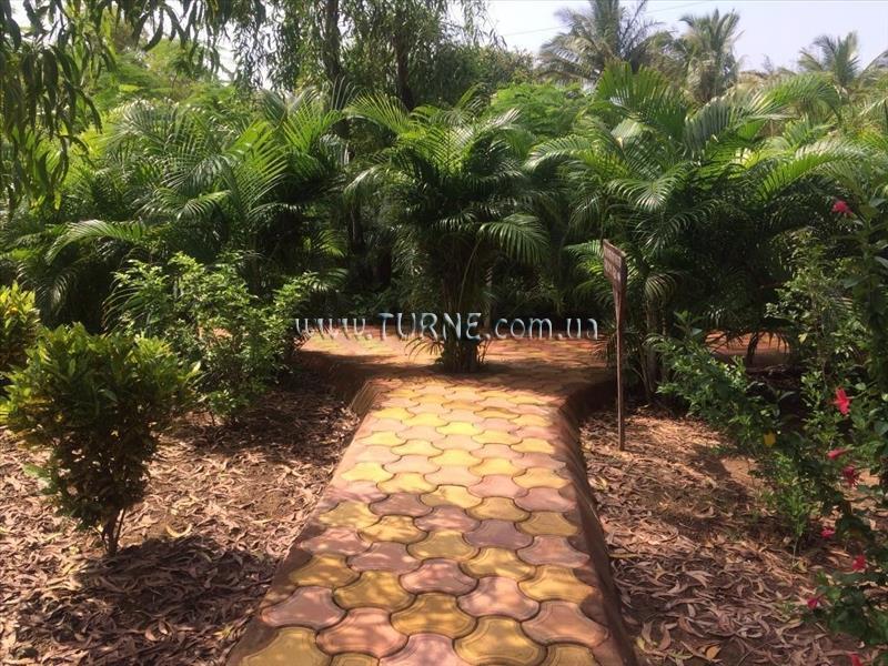 Готель Morjim Holiday Beach Resort 3*