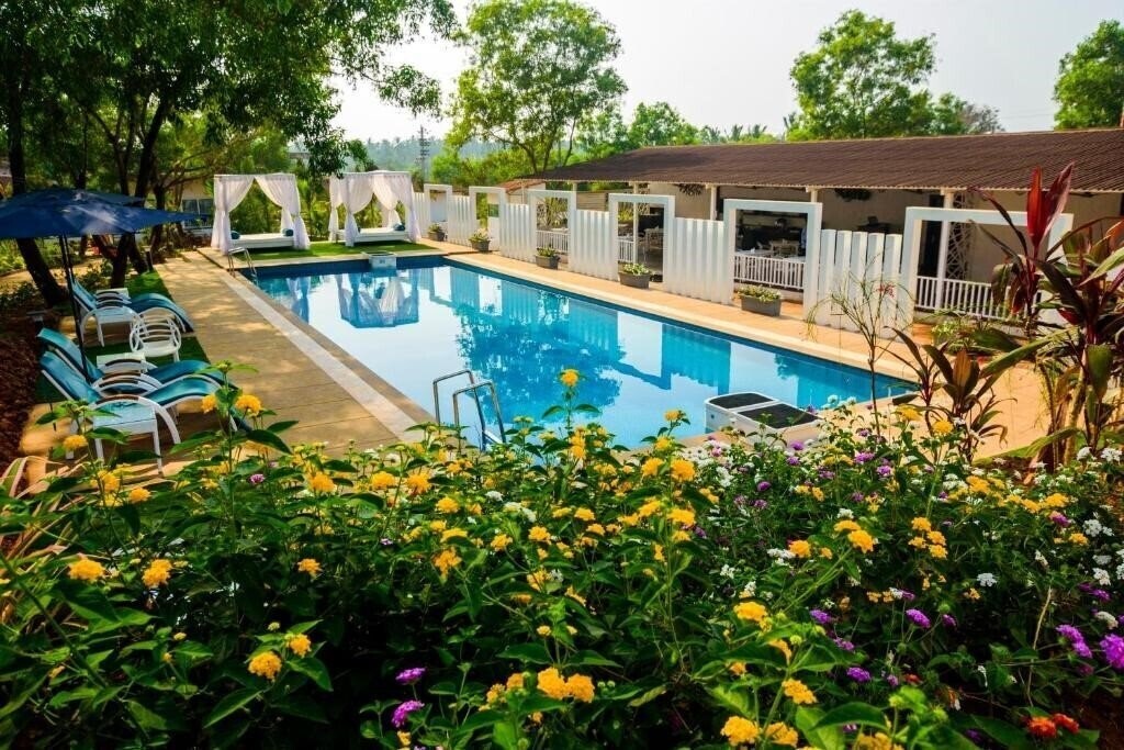Зображення White Woods Resort & SPA 3*
