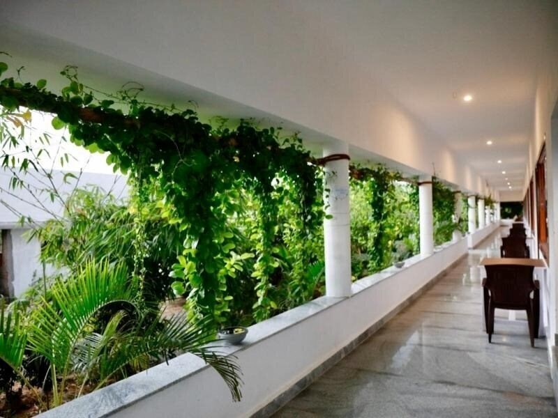 Изображение Living Room Beach Resort, Morjim 3*
