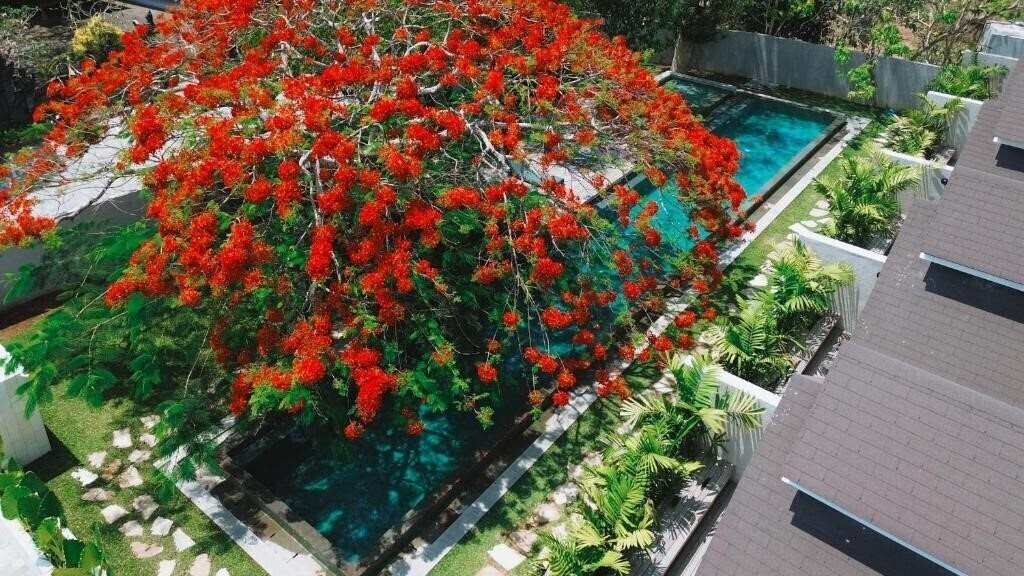 Фото Asai Village 4*