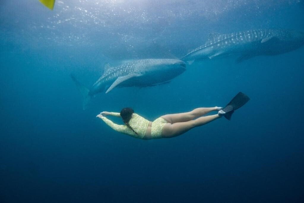 Зображення Somewhere Lombok 4*