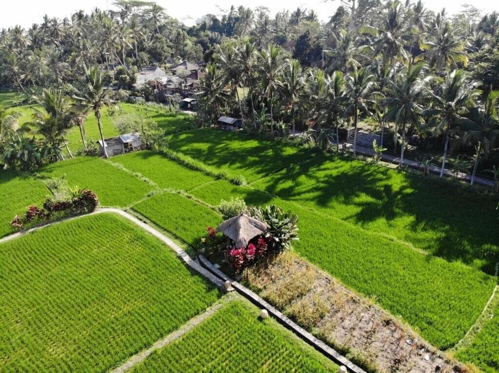 Фотография Mathis Retreat - Ubud 4*