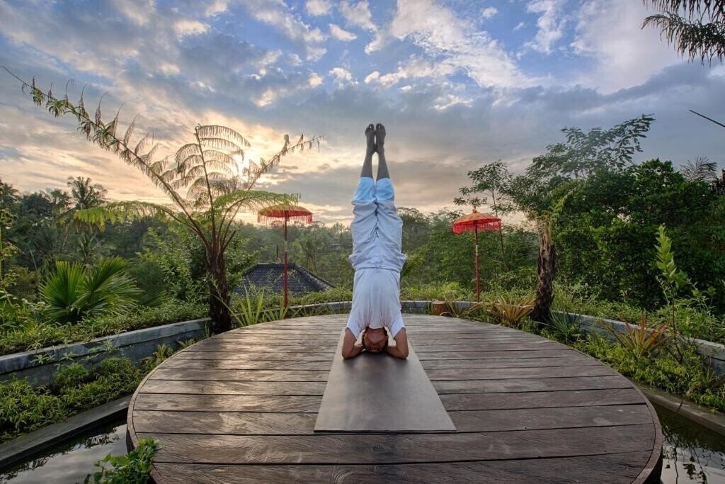 Картинка Nau Villa Ubud 3*