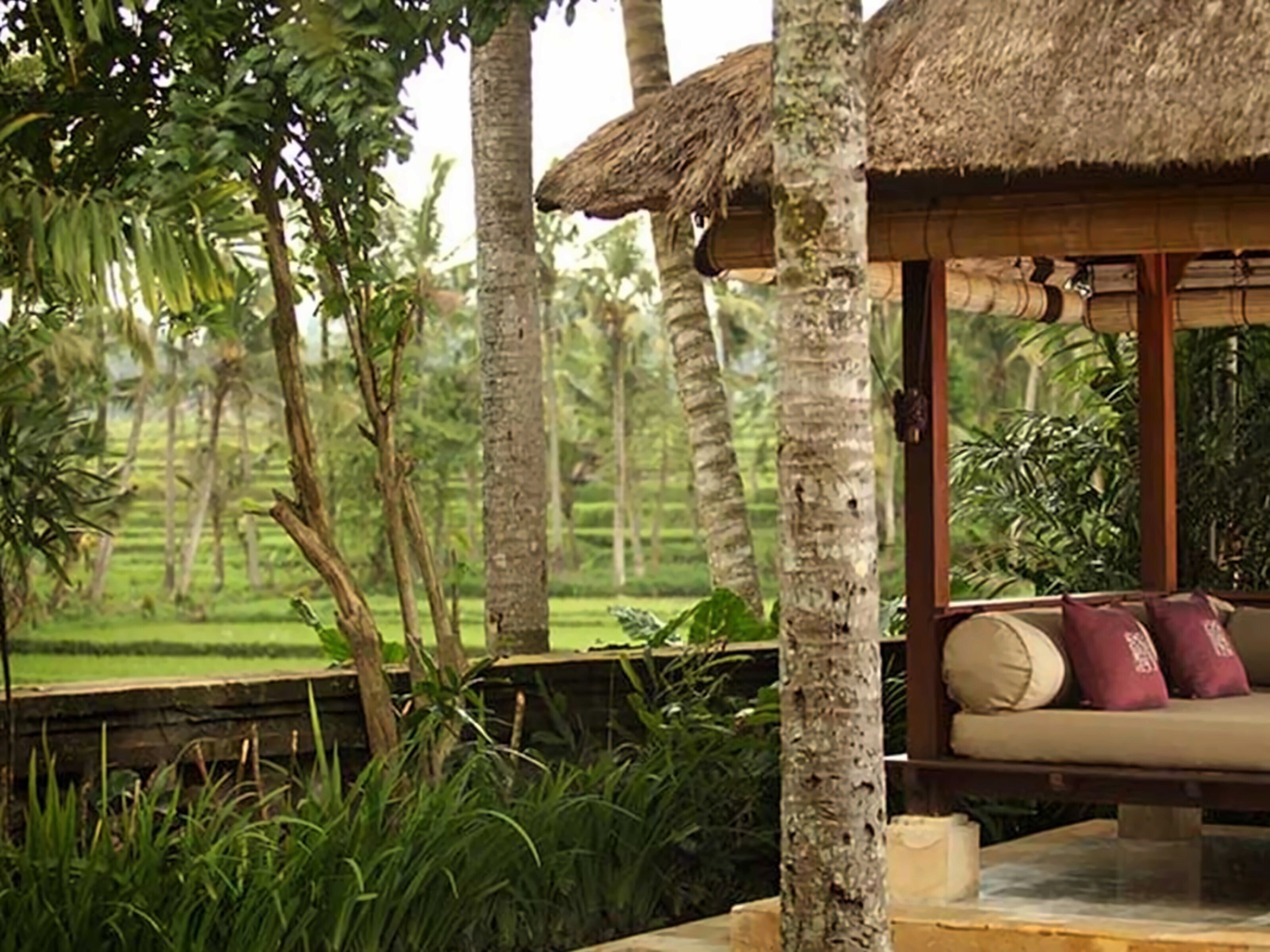 Изображение The Ubud Village Hotel at Monkey 3*
