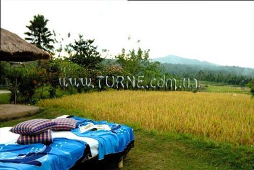 Фотографія Puri Bagus Manggis 3*