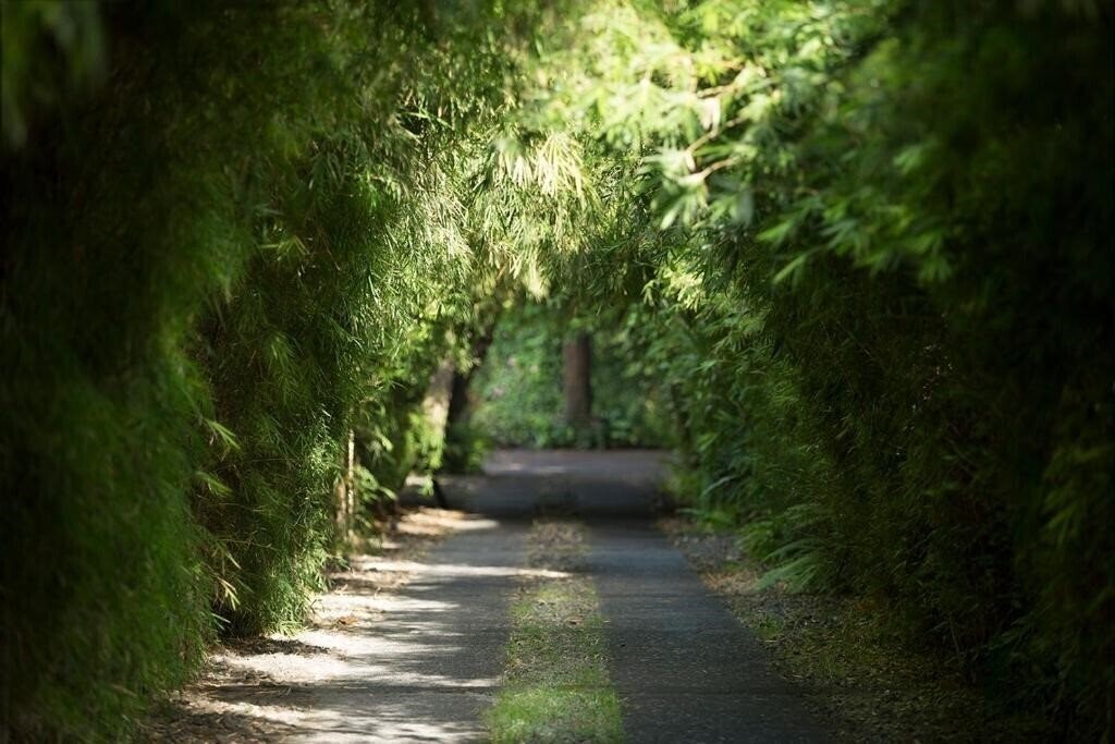 Картинка Bali Pavilions 4*