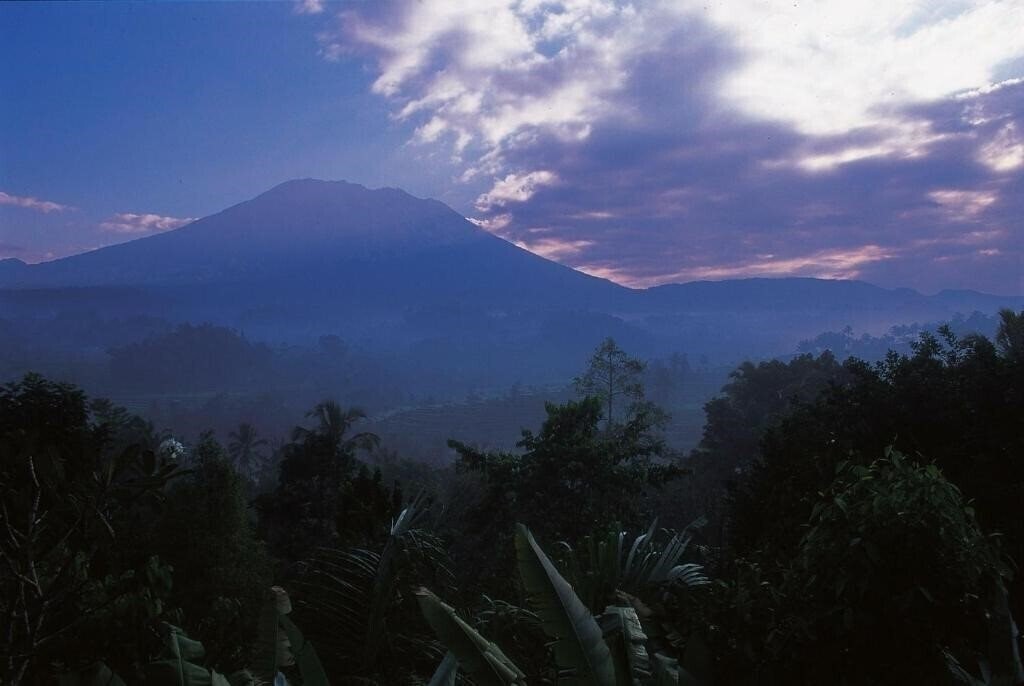 Фото Alila Manggis 4*