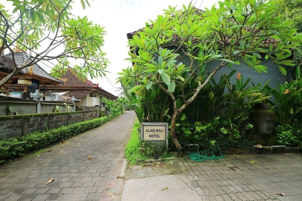 Фотография Alam Bali Hotel 3*