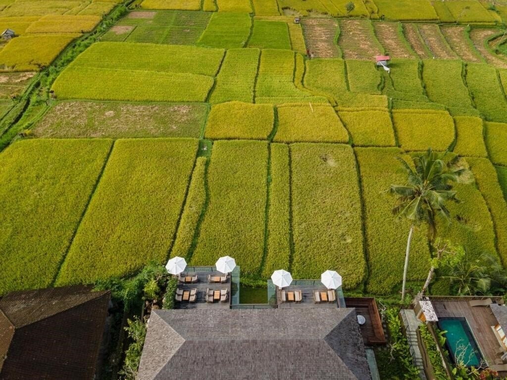 Фотографія Kappa Senses Ubud 5*