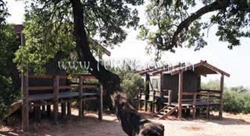 Фото Mujib Nature Reserve 3*