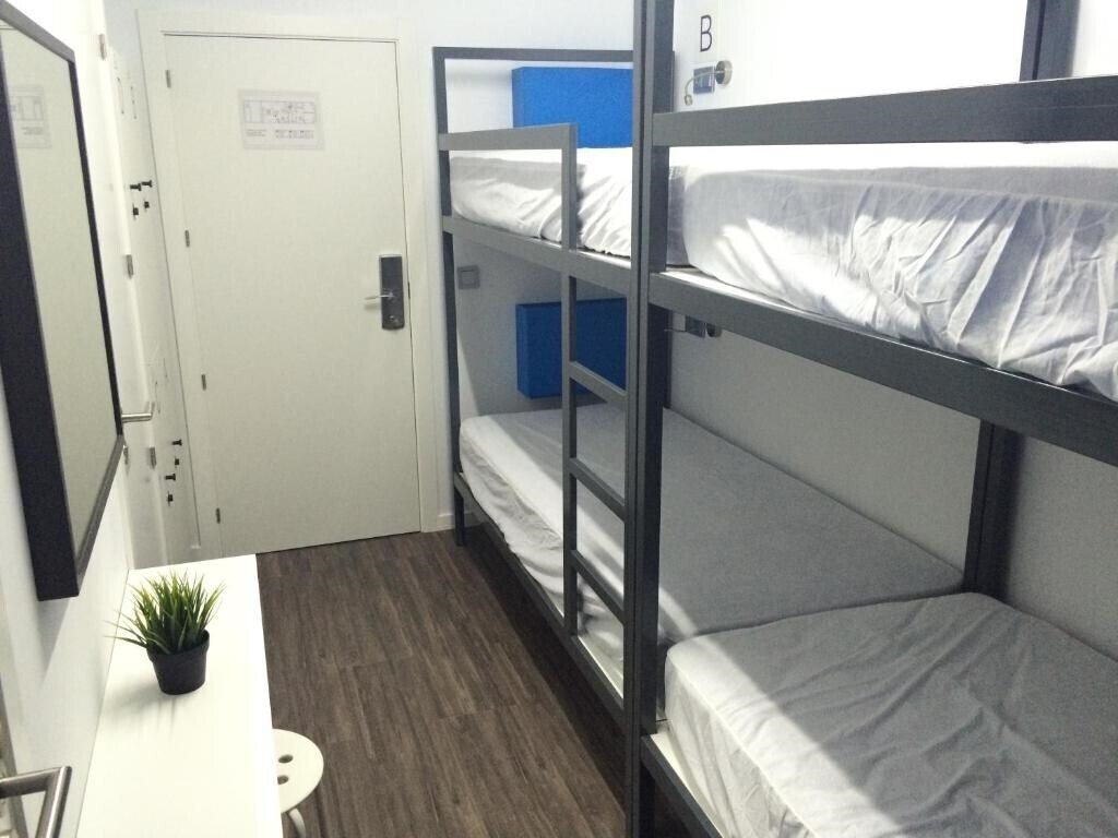 Фотографія Chameleon Hostel Alicante 2*