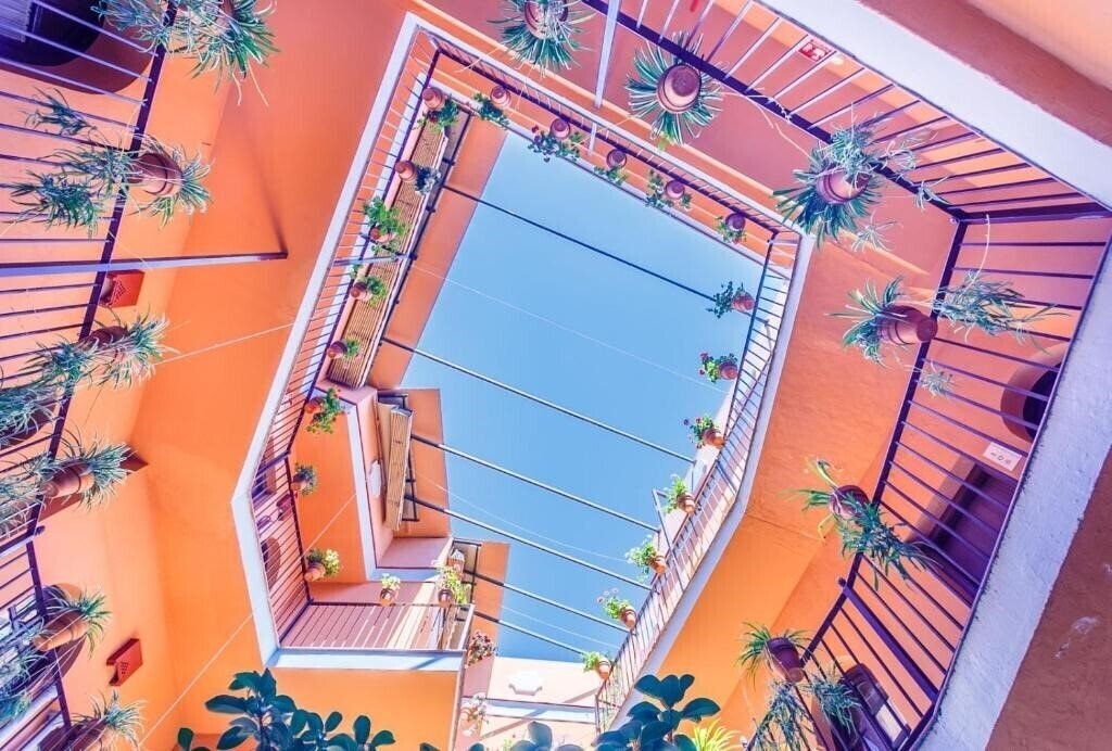 Фотография Patio De La Alameda 3*
