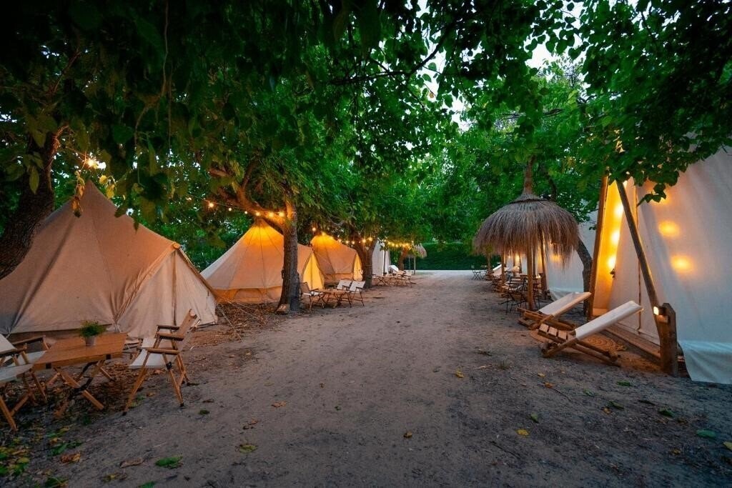 Картинка Kampaoh Paloma 2*