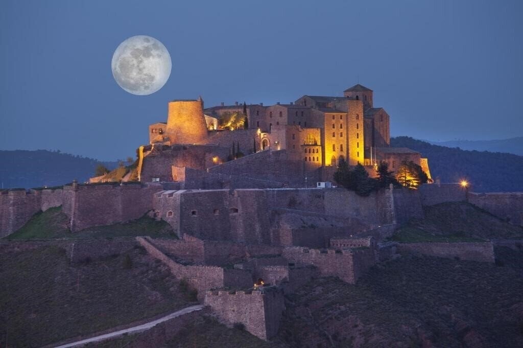 Отель Parador De Cardona 4*
