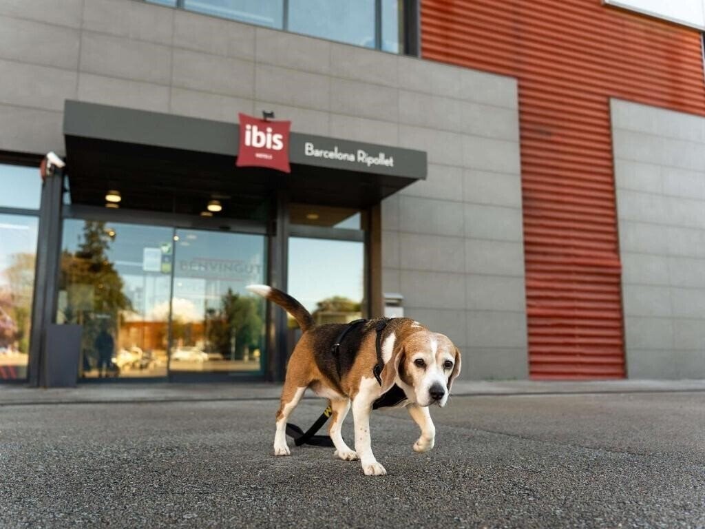 Фотография Ibis Barcelona Ripollet 2*