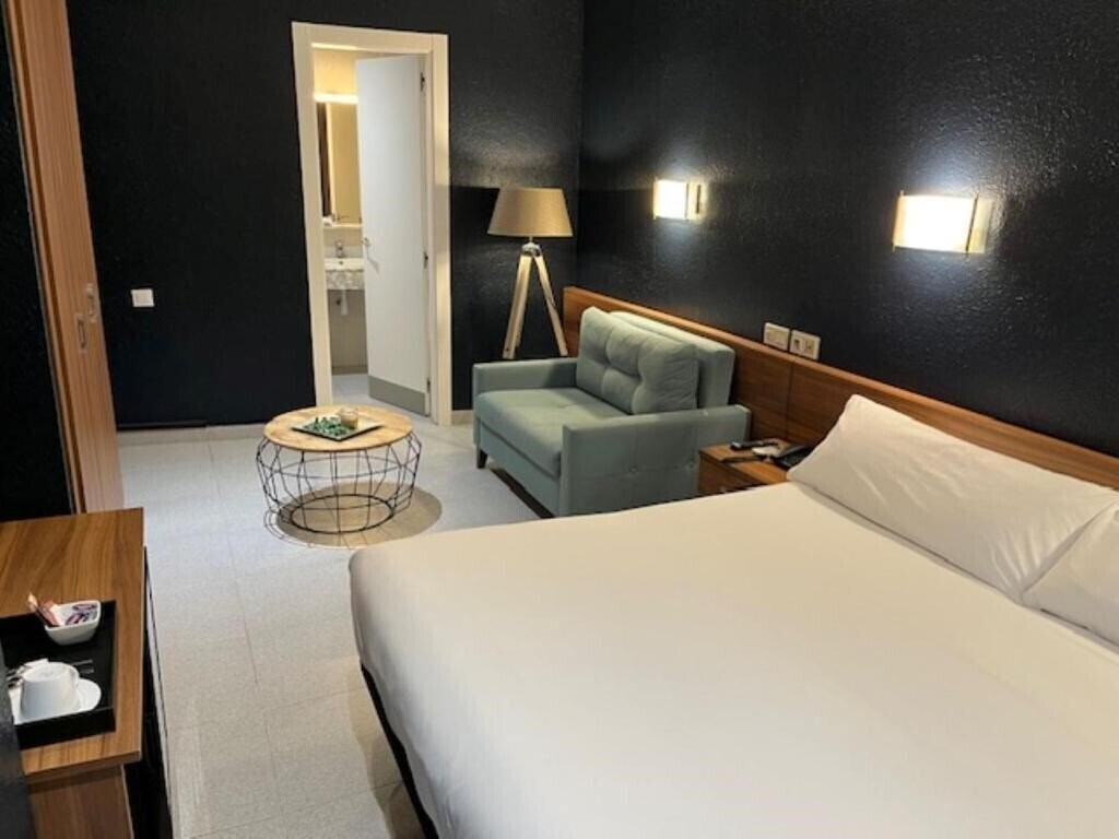 Отель Aneto Hotel 1*