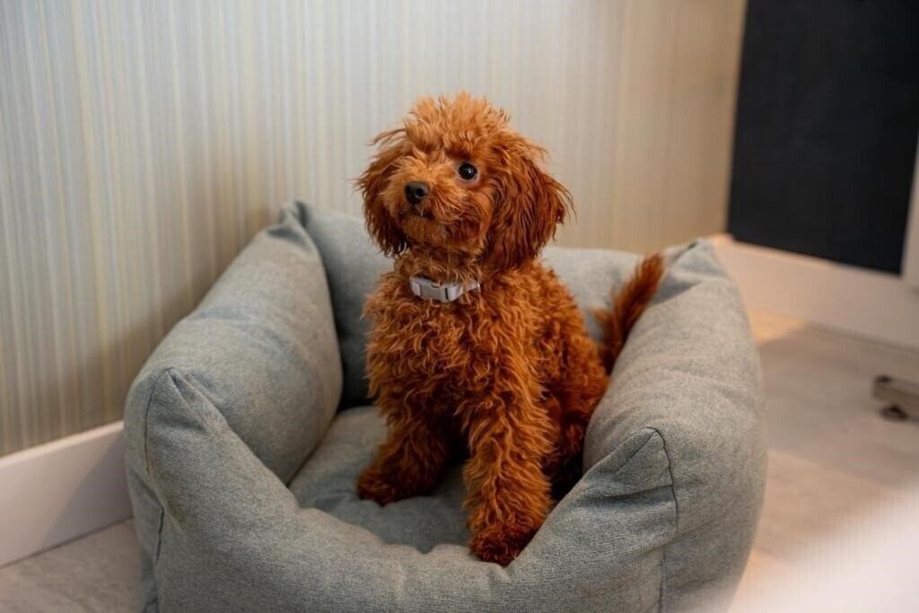 Картинка Malaga Nostrum 3*