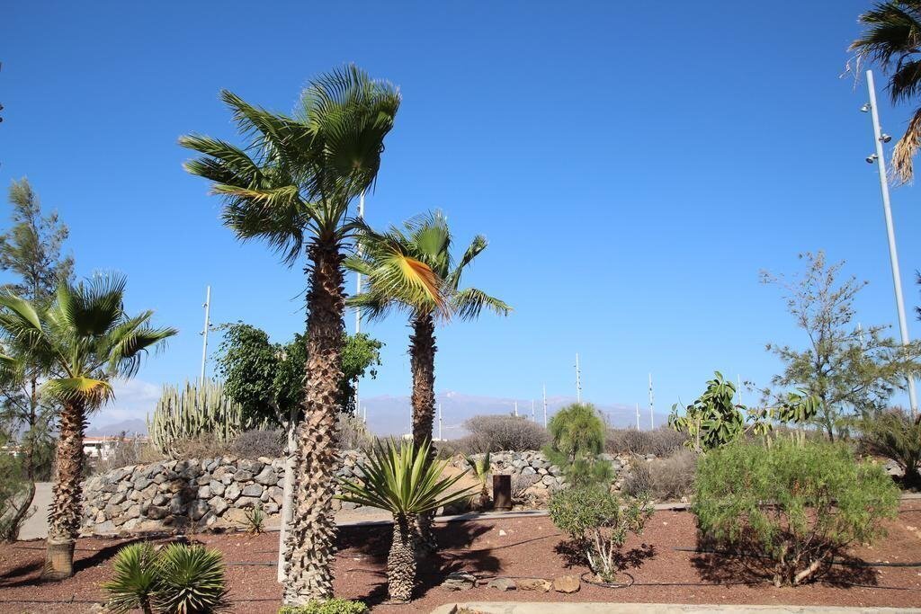 Фотографія Trebol Apartamentos 3*