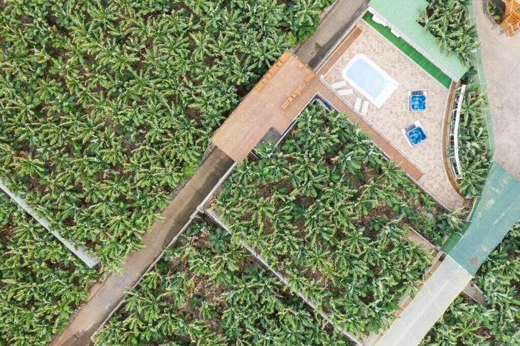 Картинка Hacienda La Dehesa (Only Adults) 4*