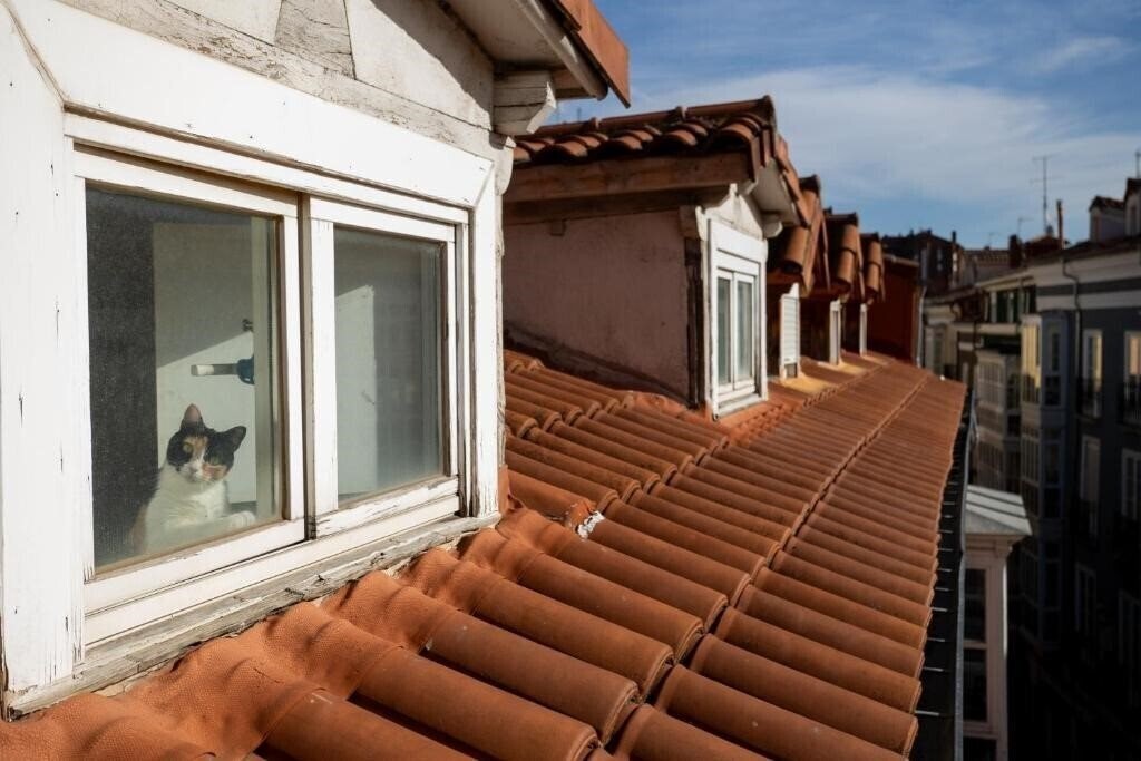 Отель Centro Burgos Los Braseros 3*