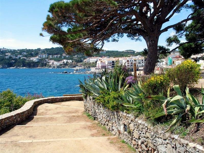 Фотографія Checkin Victoria 3*