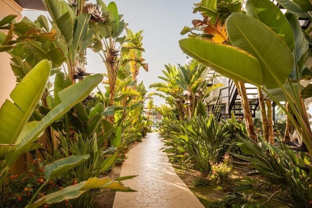 Картинка The Place Palacio Mojacar & SPA by Alegria 4*