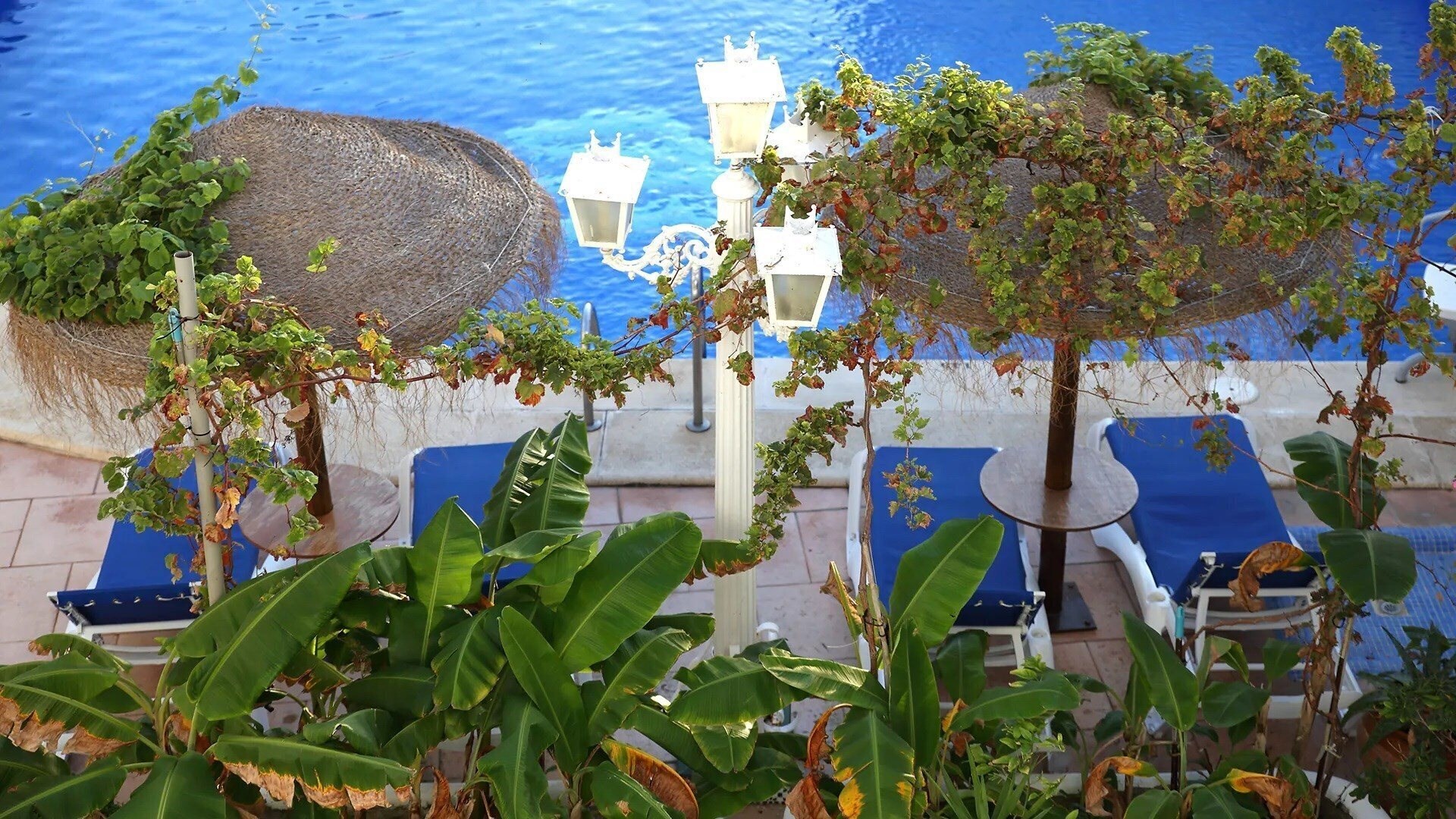 Фотографія Brasilia 3*