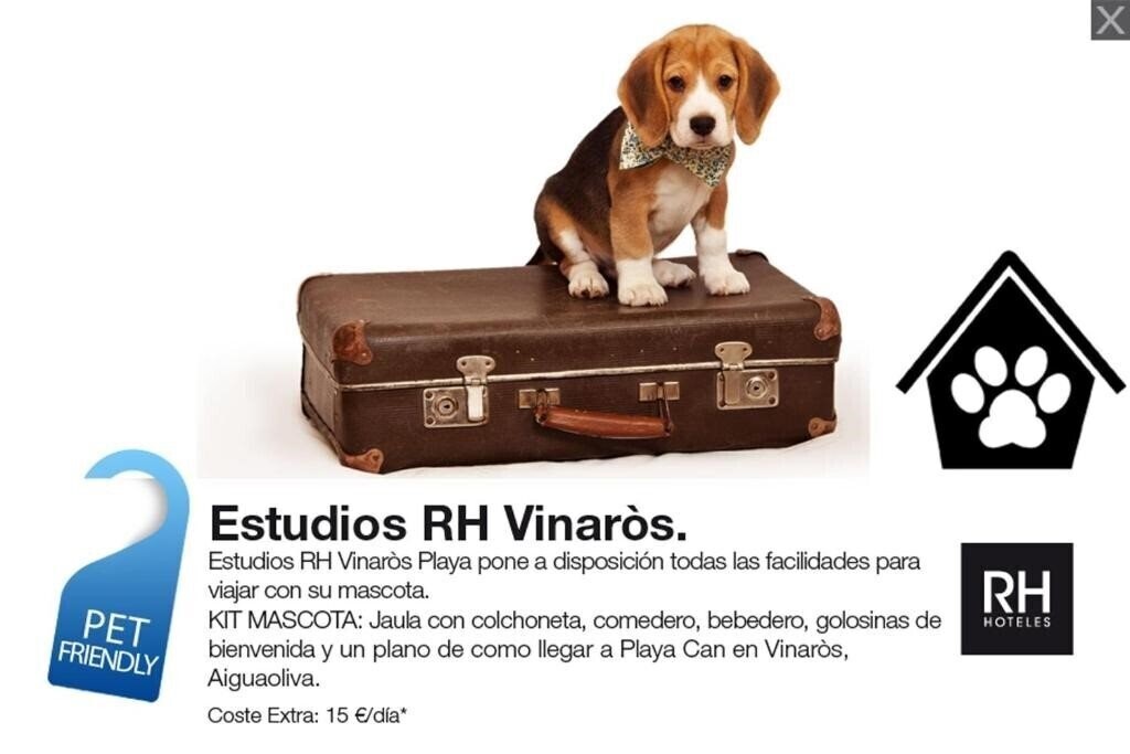 Картинка Studios RH Vinaros 3*