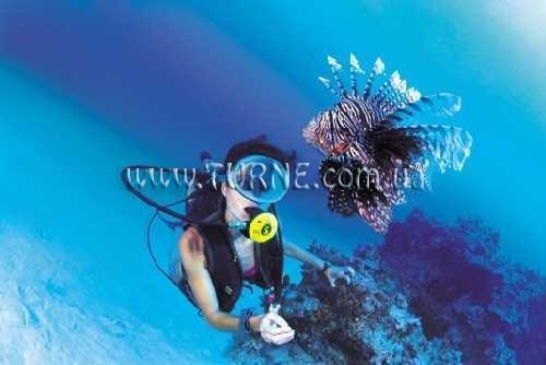 Готель Holiday World Polinesia (ex. Holiday Polinesia) 4*