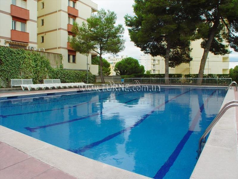 Отель Villa Dorada Apartments 3*
