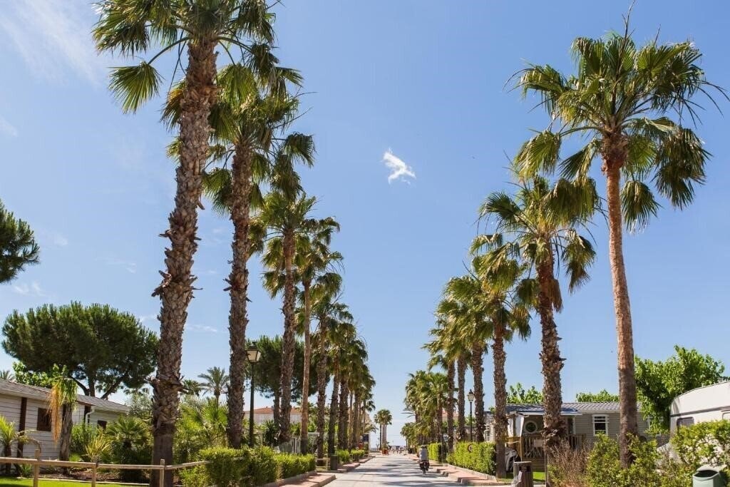 Картинка Camping Vendrell Platja апартаменты