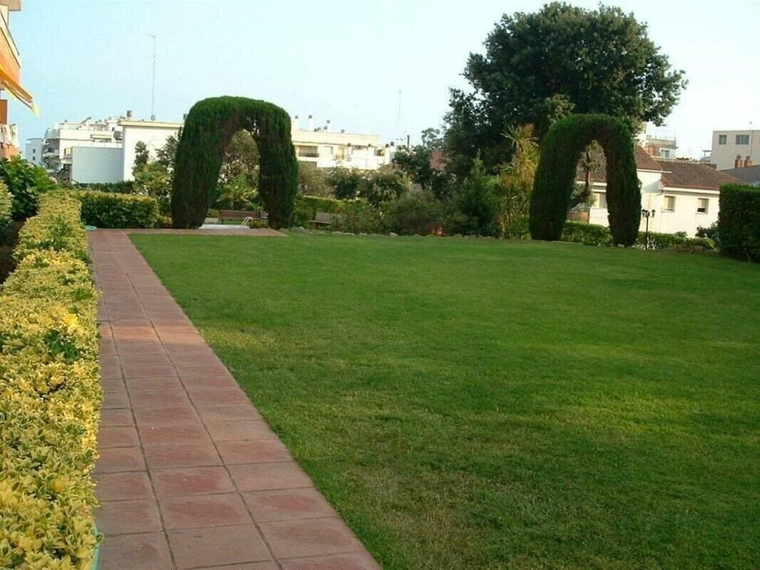 Картинка Aloe 1 3*