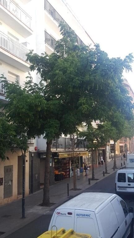 Фото Juan Ramon 1*