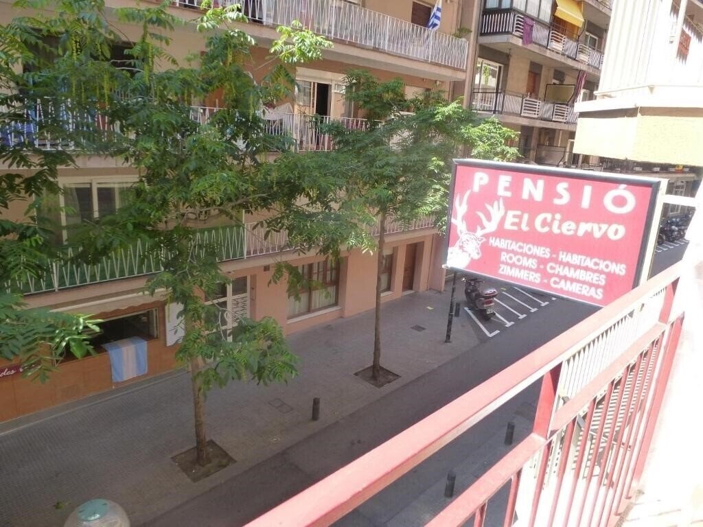 Отель Pension El Ciervo 1*