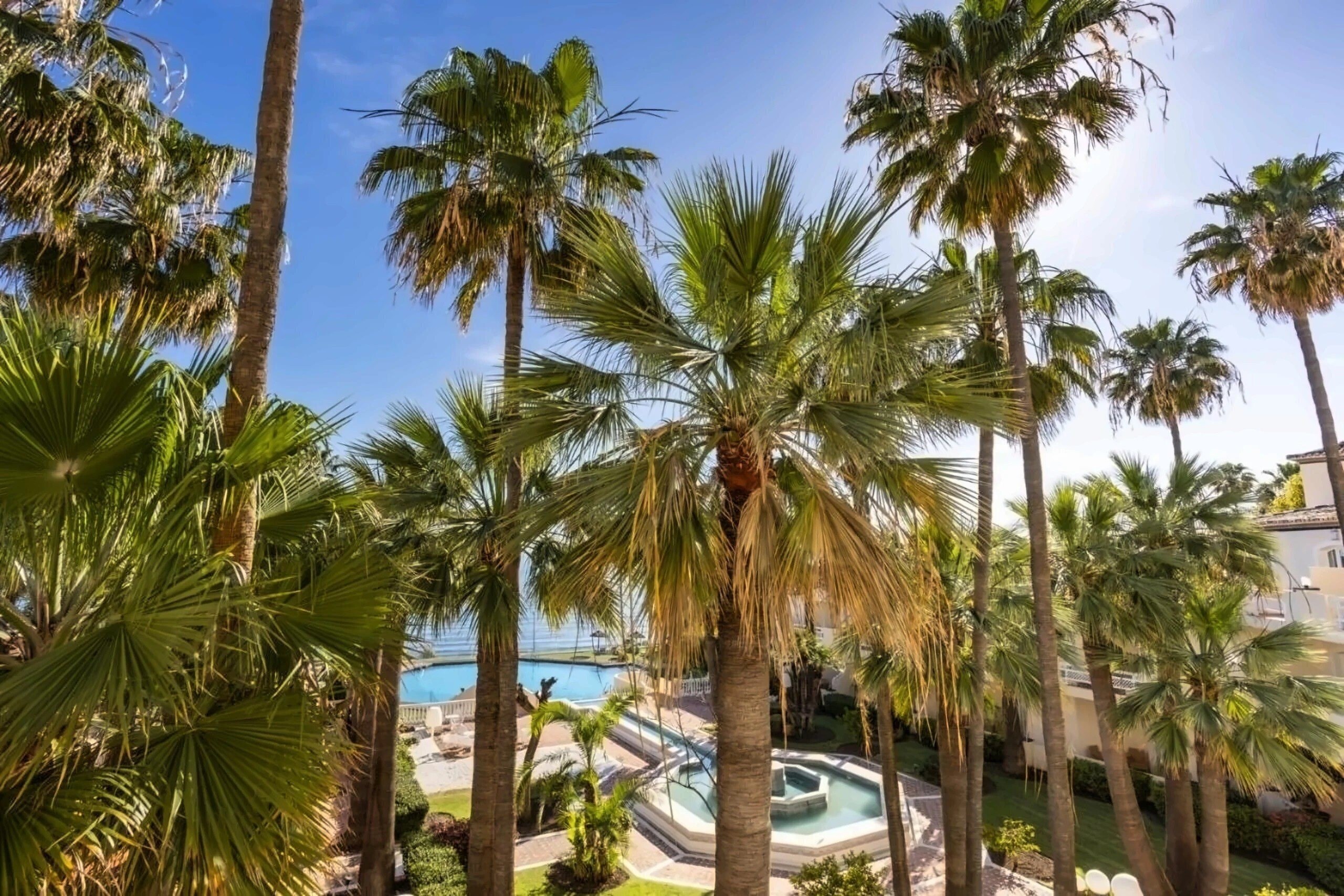 Картинка Healt House Las Dunas 5*